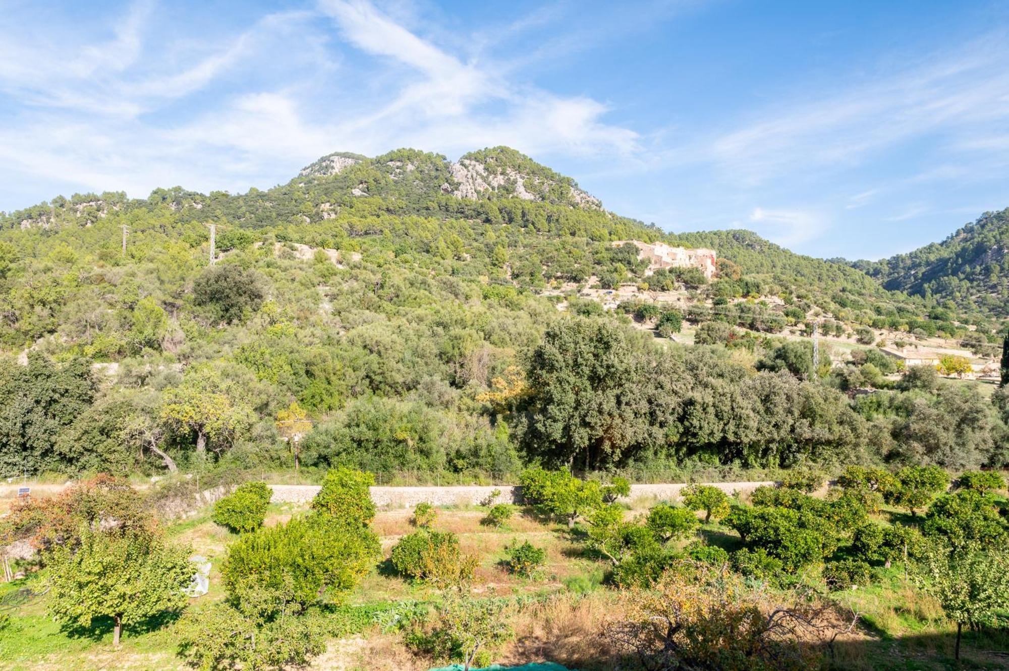 Agroturismo Filicumis By Mhr Lloseta Exteriér fotografie
