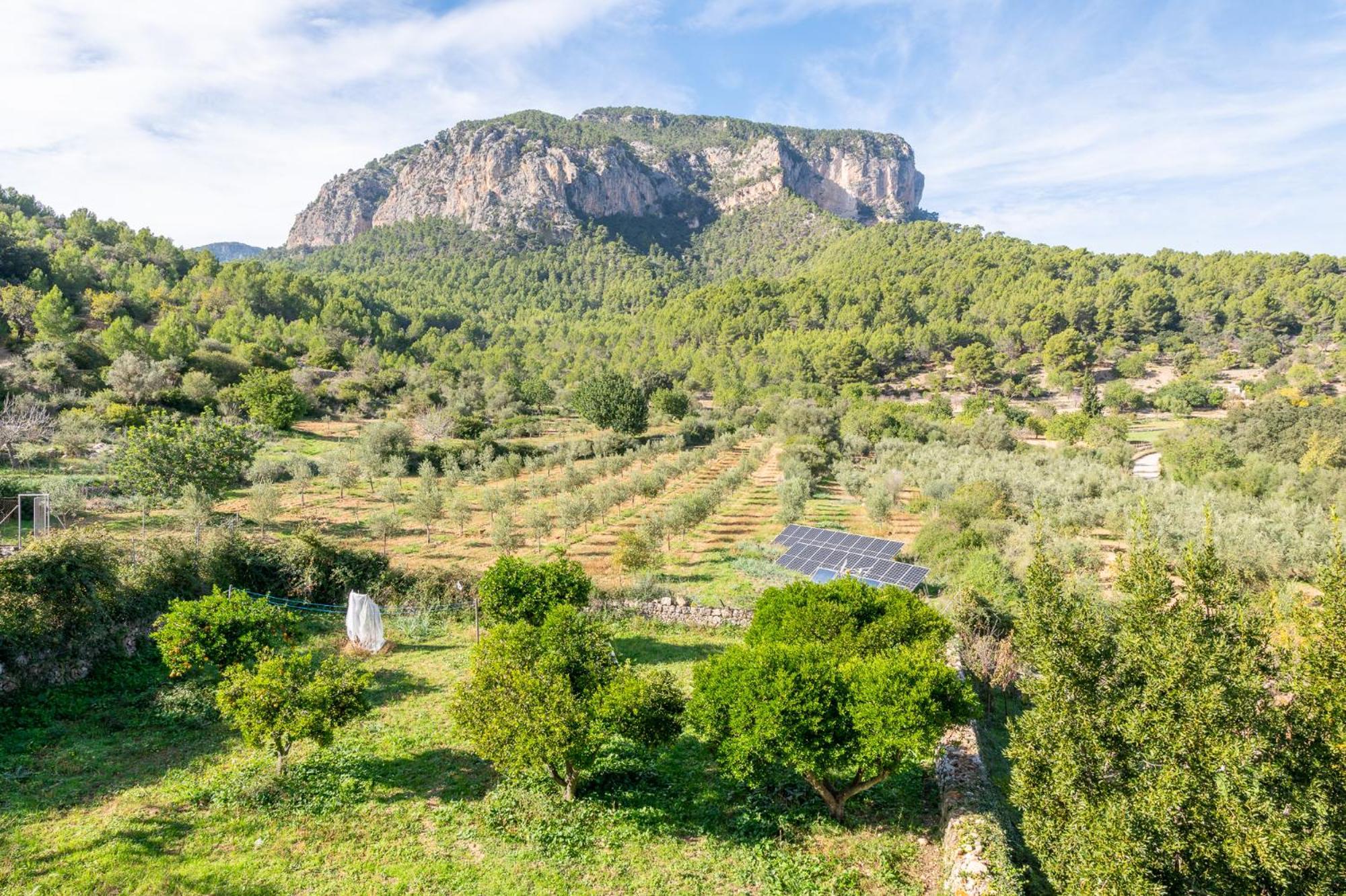 Agroturismo Filicumis By Mhr Lloseta Exteriér fotografie