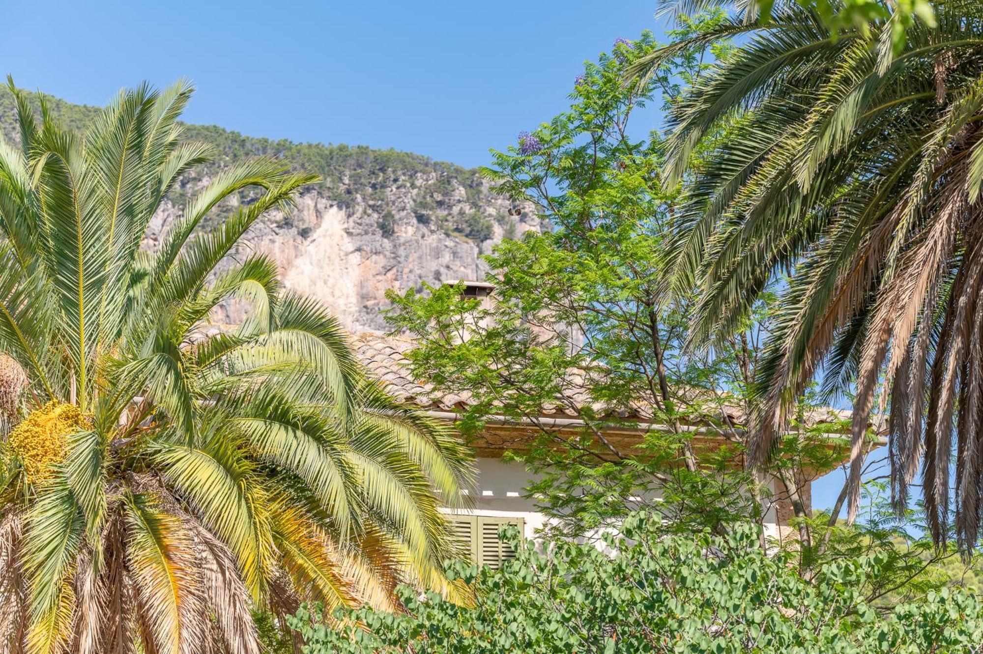 Agroturismo Filicumis By Mhr Lloseta Exteriér fotografie