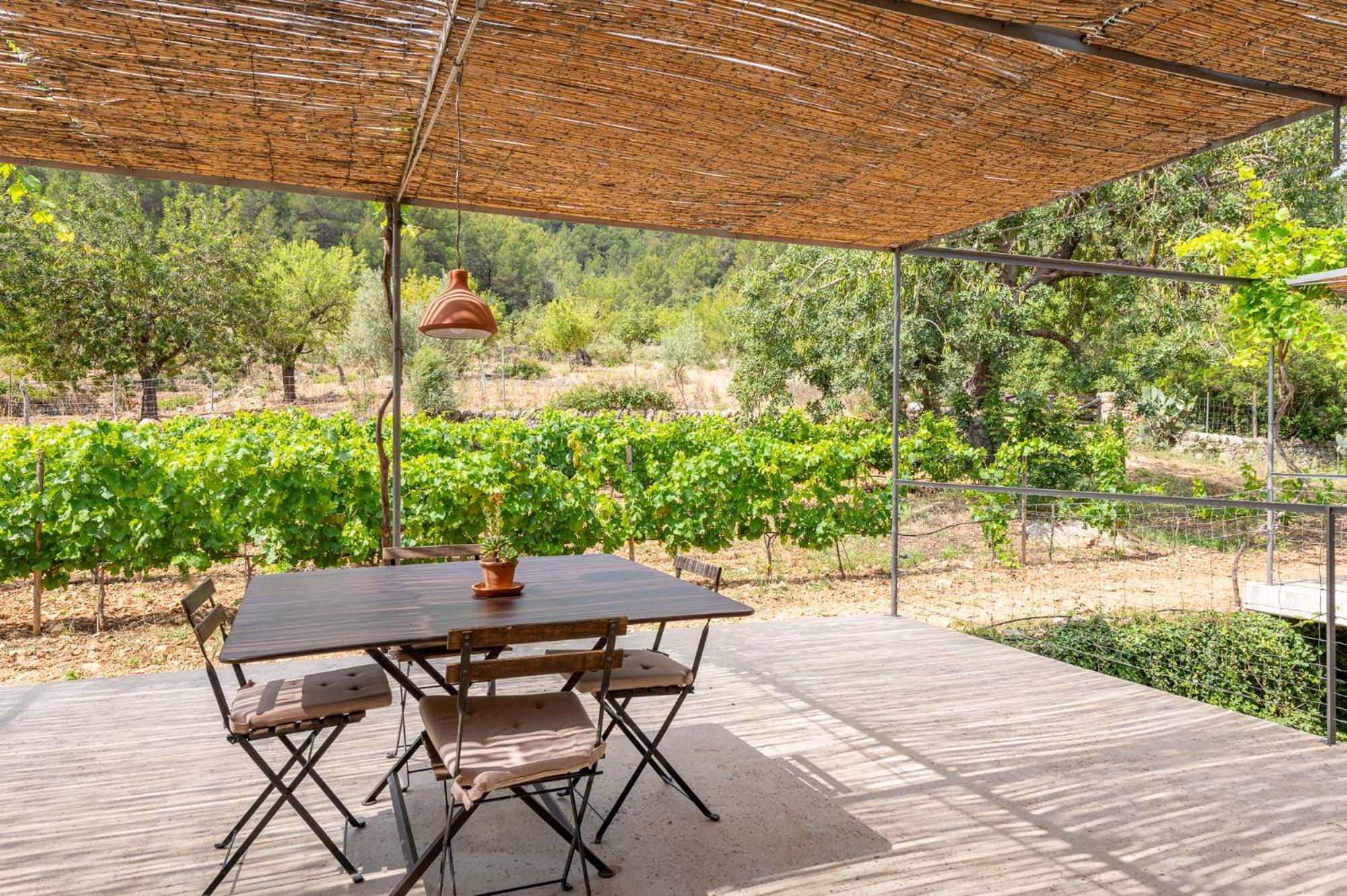 Agroturismo Filicumis By Mhr Lloseta Pokoj fotografie